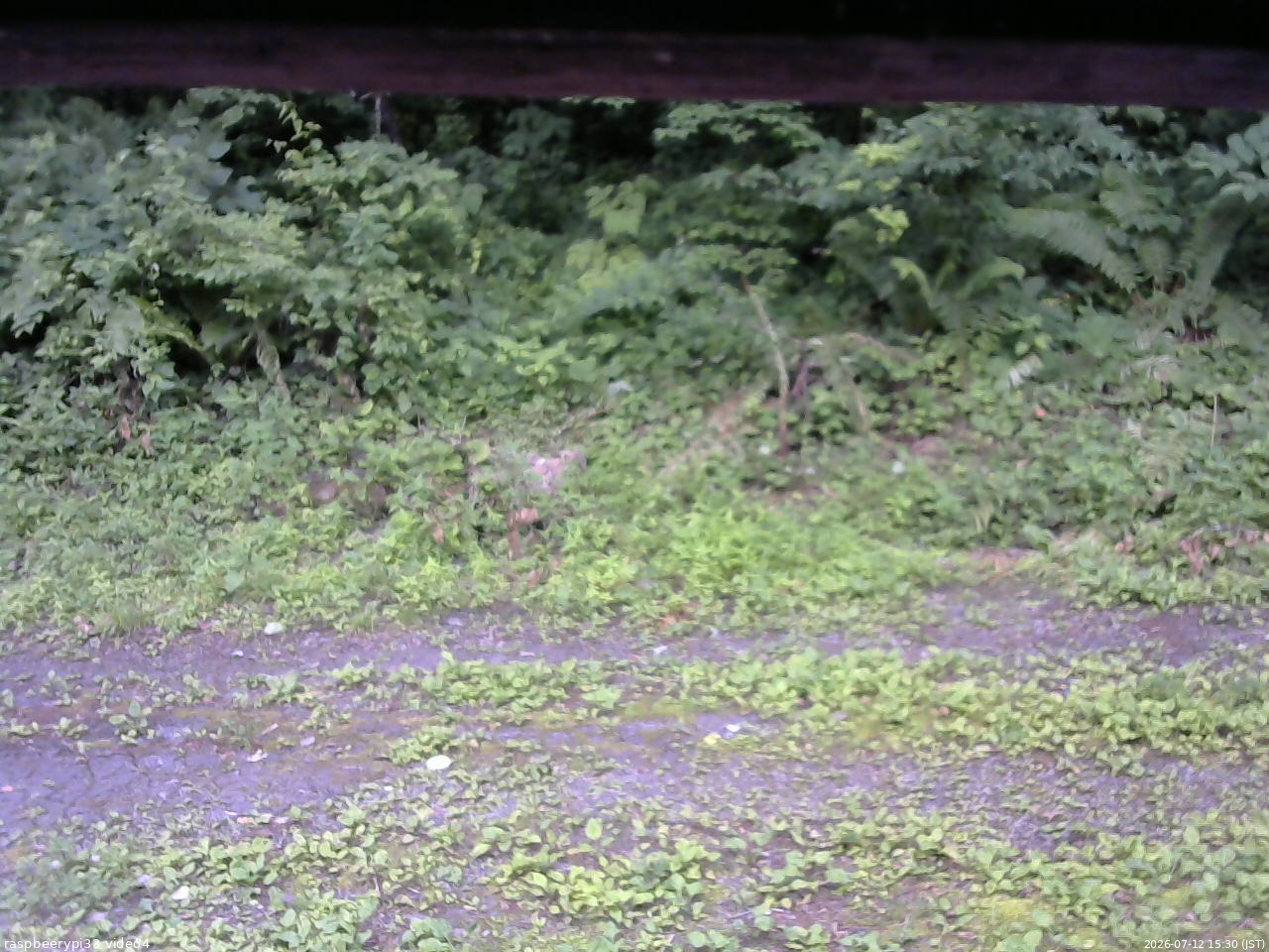 長野県菅平高原 ゆたか山荘 東側(坂下) 2026/07/12 15:30