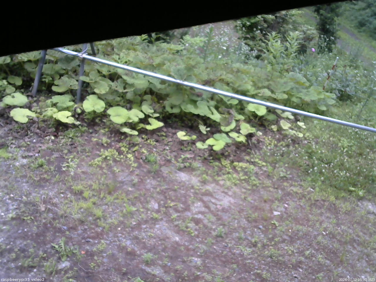 長野県菅平高原 ゆたか山荘 駐車場 2026/07/12 05:30