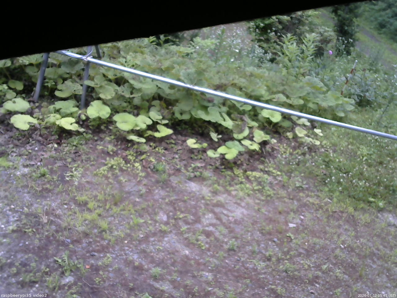 長野県菅平高原 ゆたか山荘 駐車場 2026/07/12 05:45