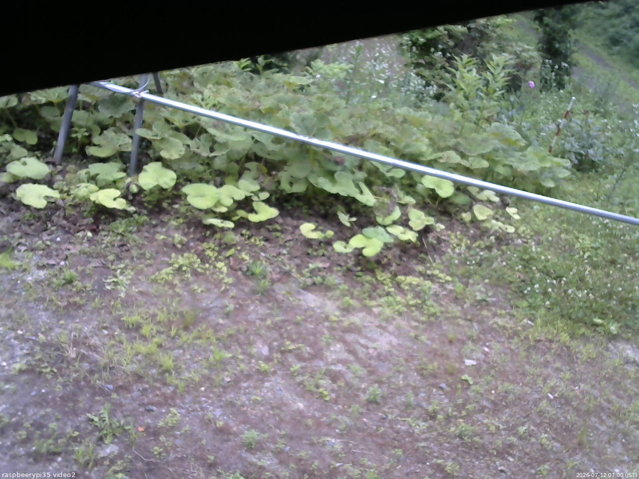 長野県菅平高原 ゆたか山荘 駐車場 2026/07/12 07:00