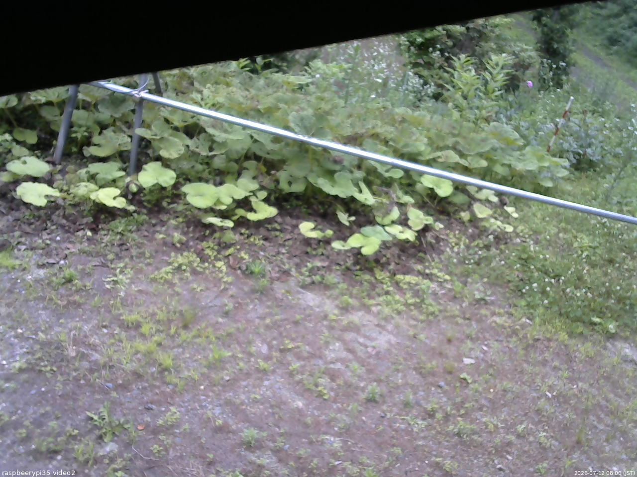 長野県菅平高原 ゆたか山荘 駐車場 2026/07/12 08:00