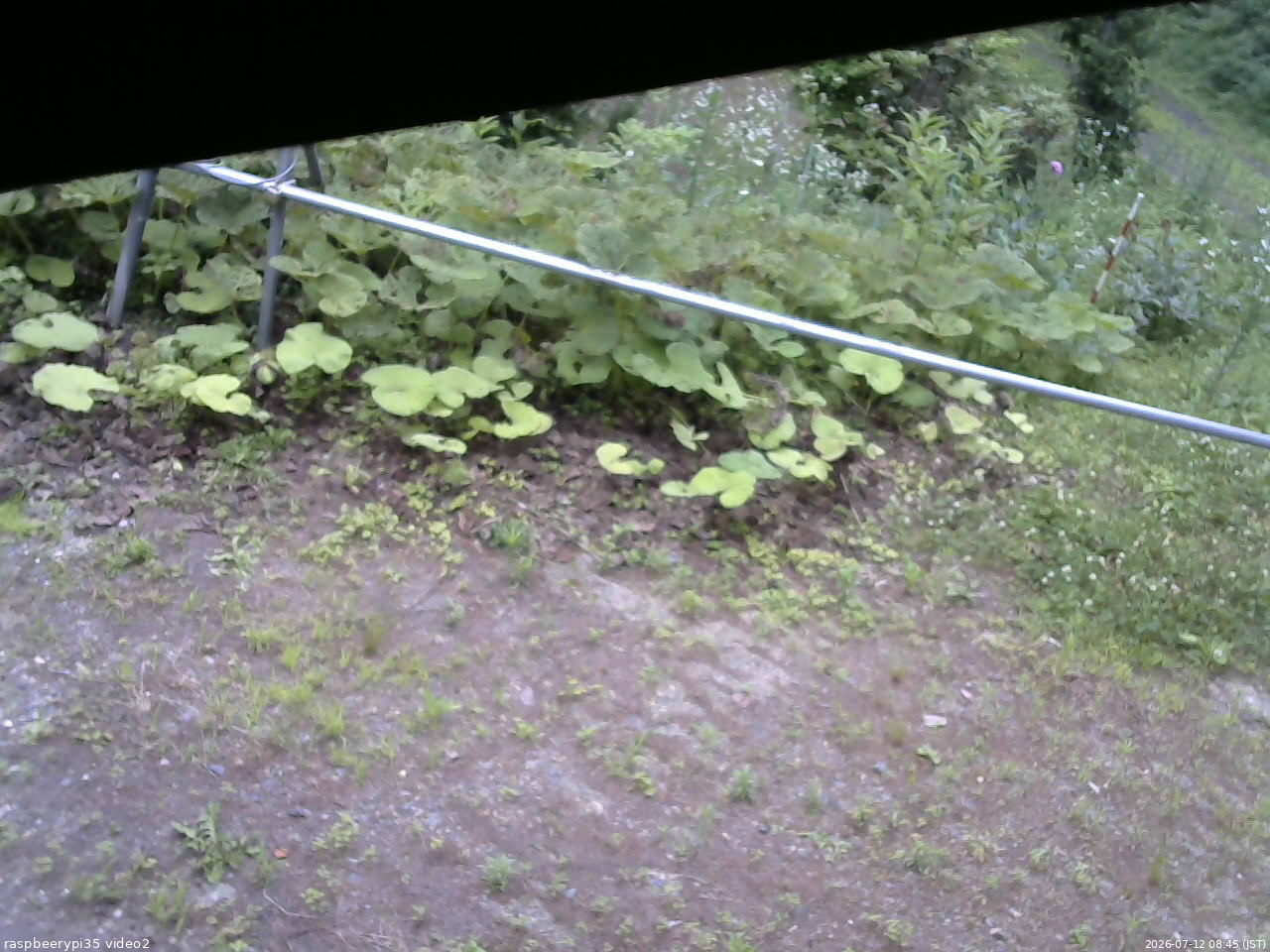 長野県菅平高原 ゆたか山荘 駐車場 2026/07/12 08:45
