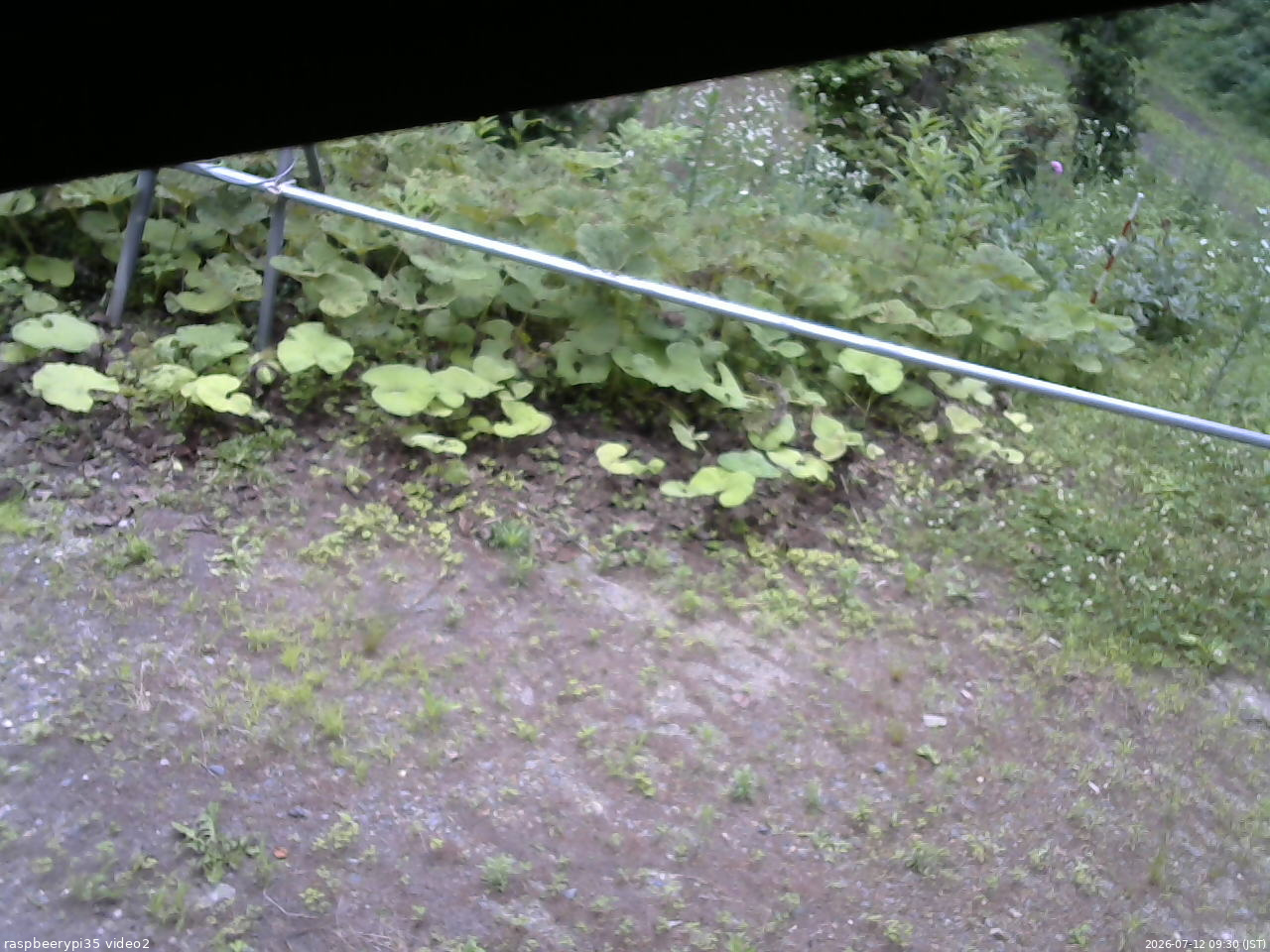 長野県菅平高原 ゆたか山荘 駐車場 2026/07/12 09:30