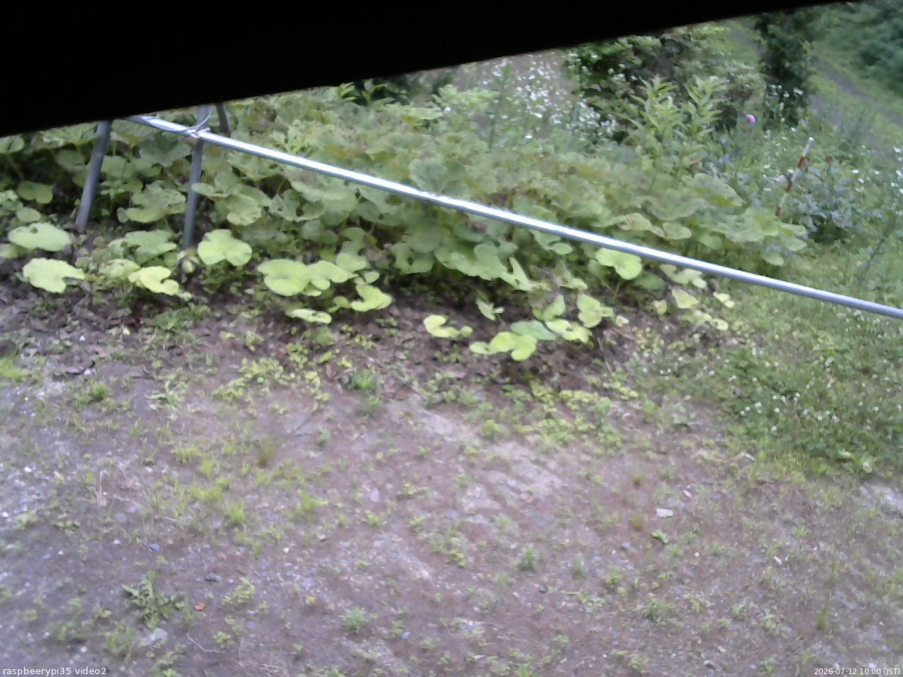長野県菅平高原 ゆたか山荘 駐車場 2026/07/12 10:00