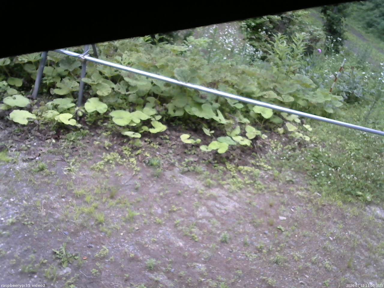 長野県菅平高原 ゆたか山荘 駐車場 2026/07/12 11:00