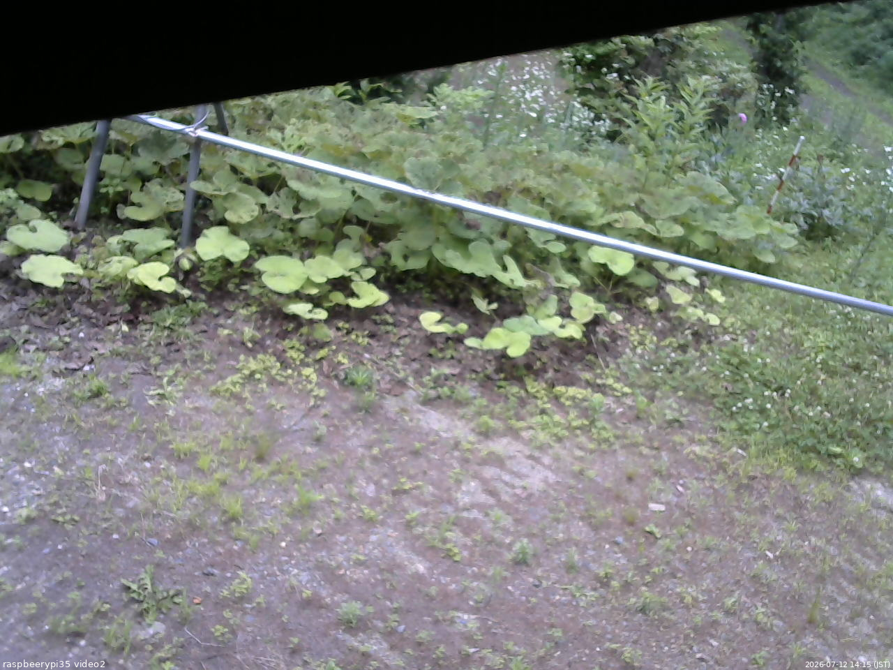 長野県菅平高原 ゆたか山荘 駐車場 2026/07/12 14:15