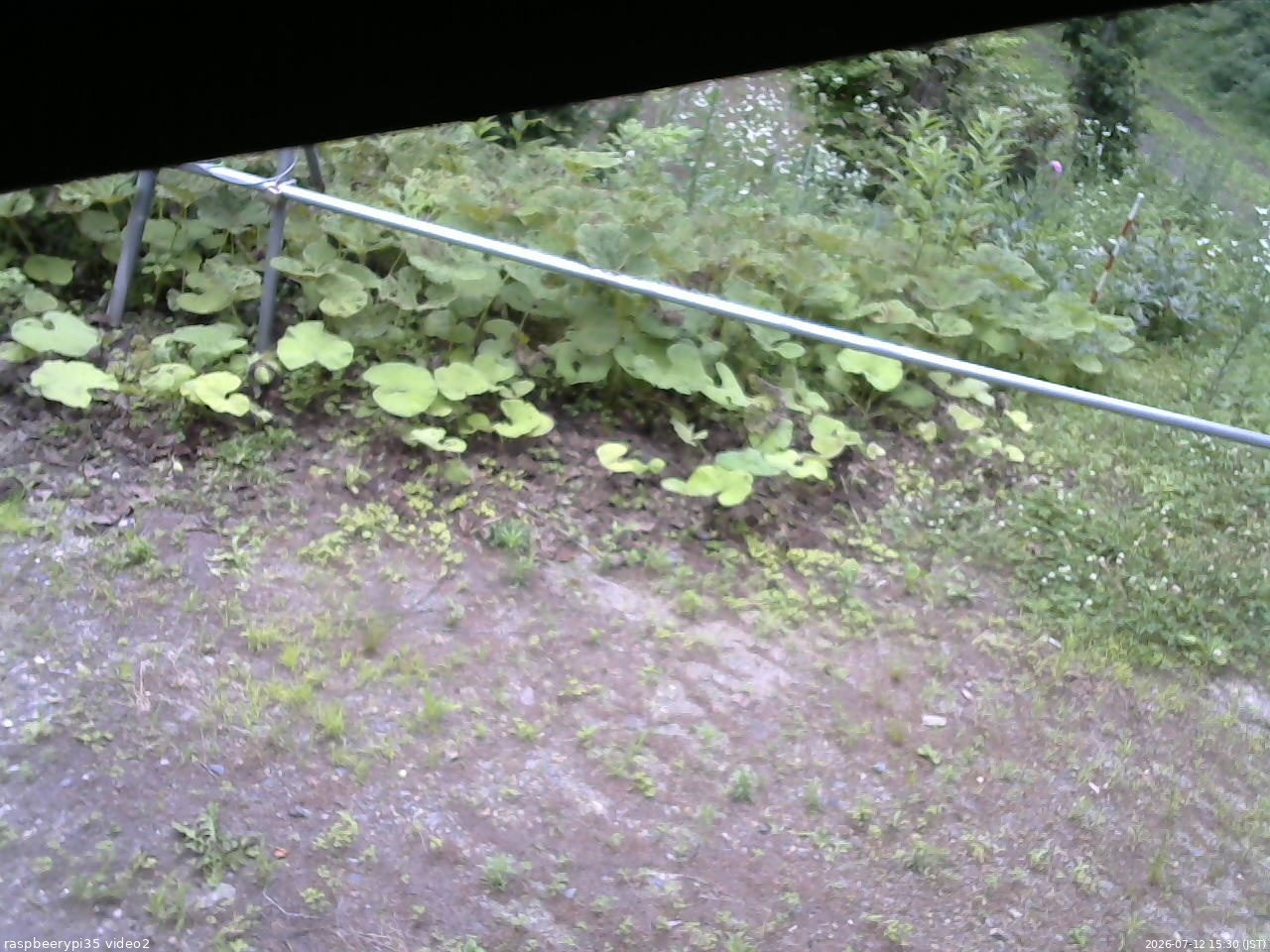 長野県菅平高原 ゆたか山荘 駐車場 2026/07/12 15:30