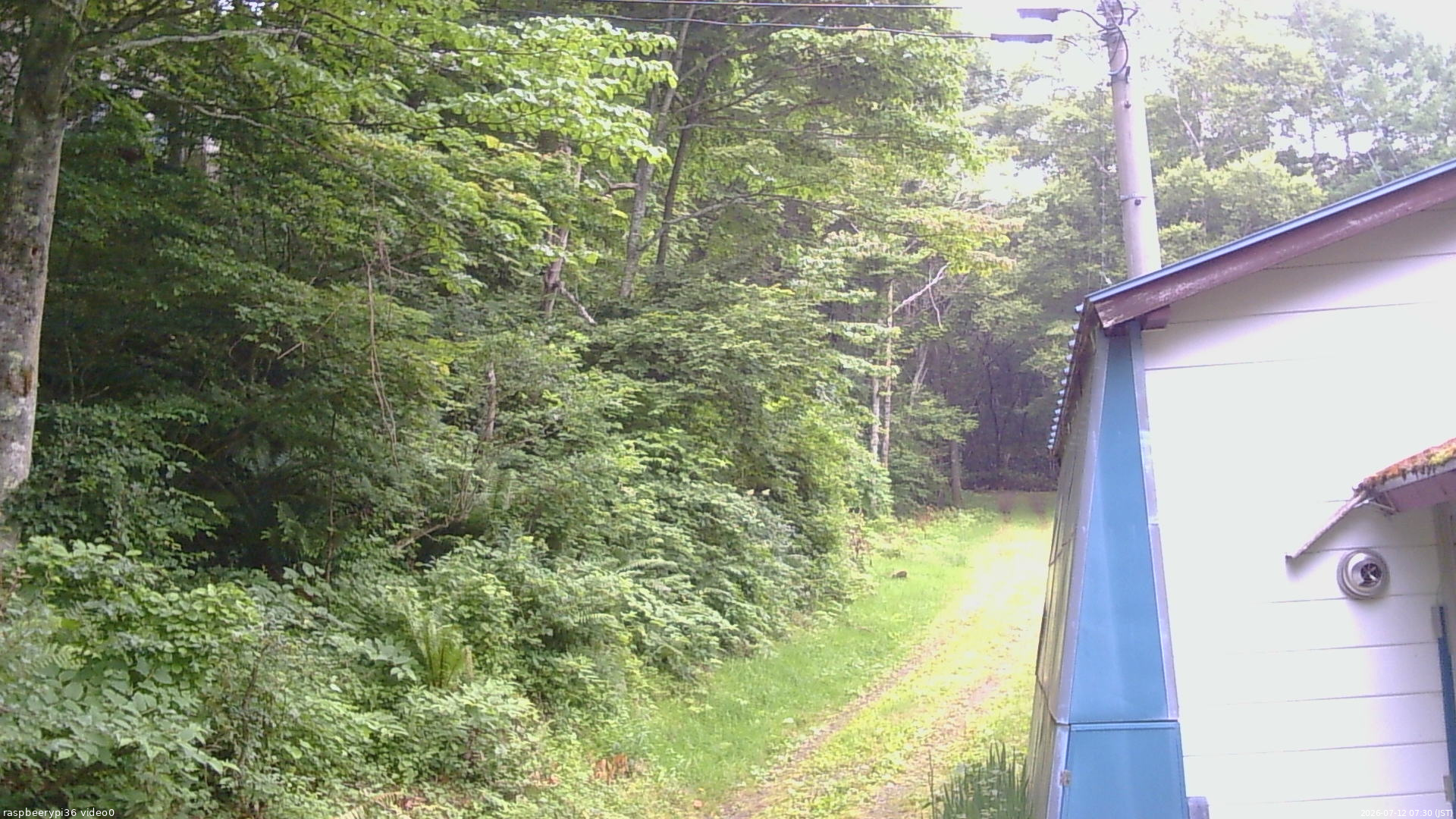 長野県菅平高原 ゆたか山荘 ゆたか山荘 2026/07/12 07:30