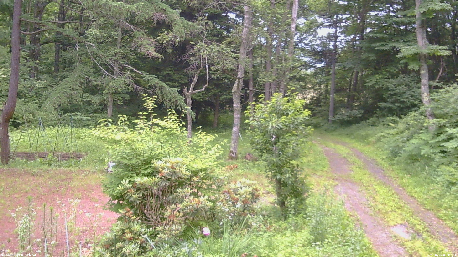 長野県菅平高原 ゆたか山荘 坂上 2026/07/12 05:30
