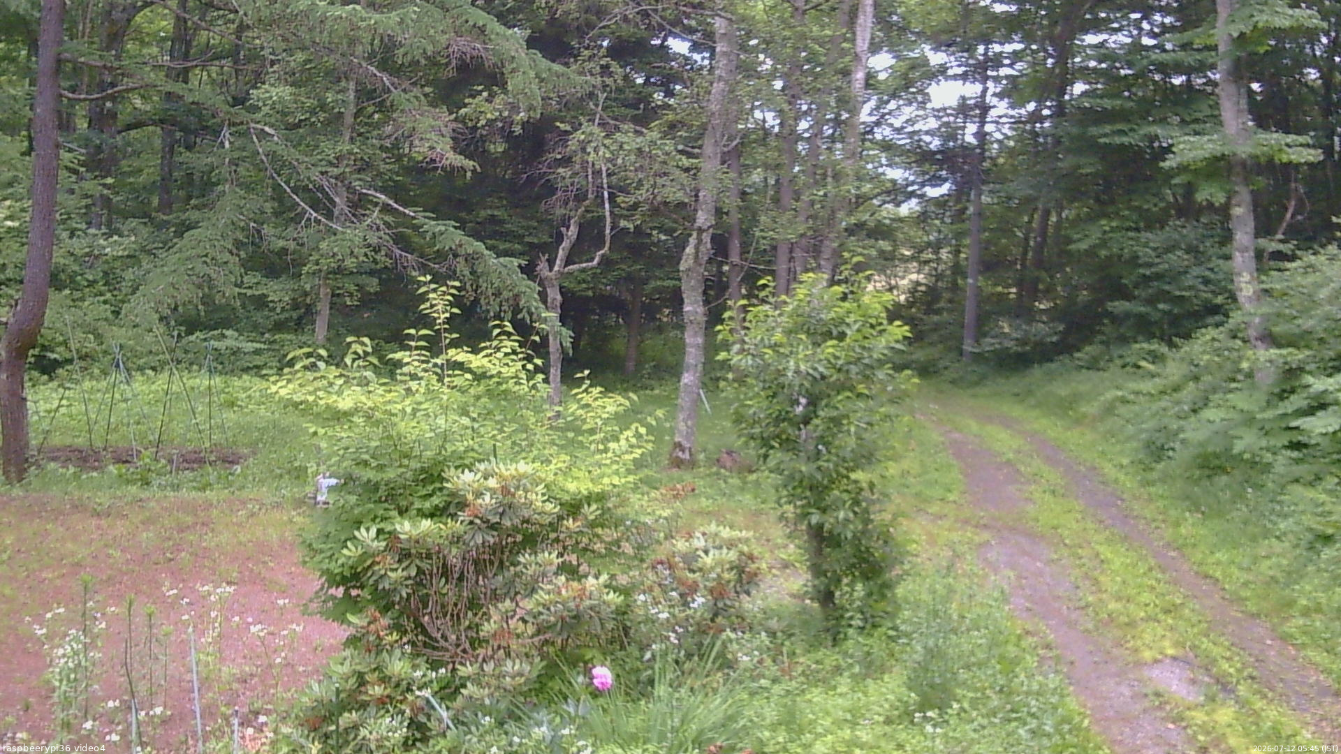 長野県菅平高原 ゆたか山荘 坂上 2026/07/12 05:45