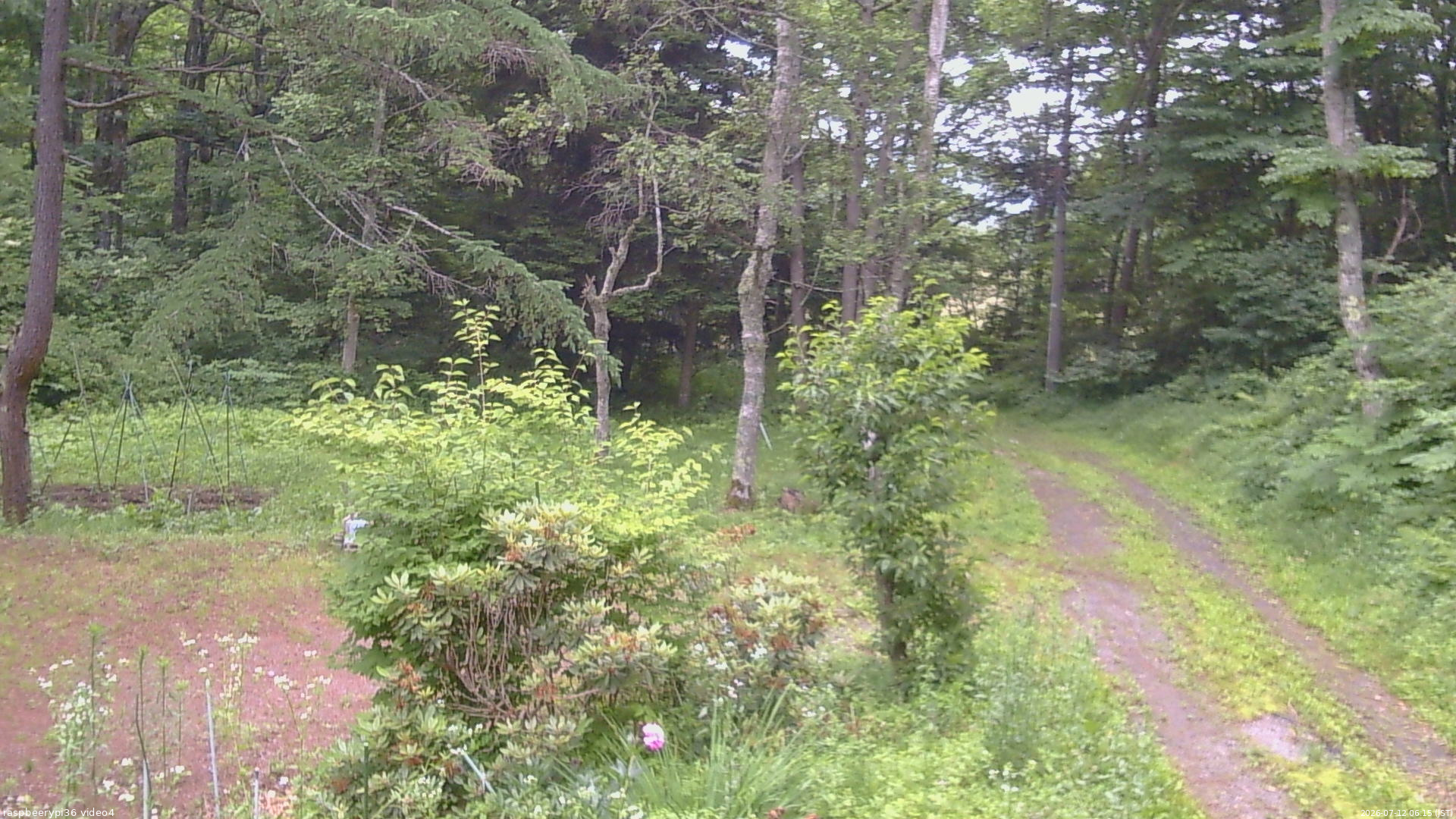 長野県菅平高原 ゆたか山荘 坂上 2026/07/12 06:15