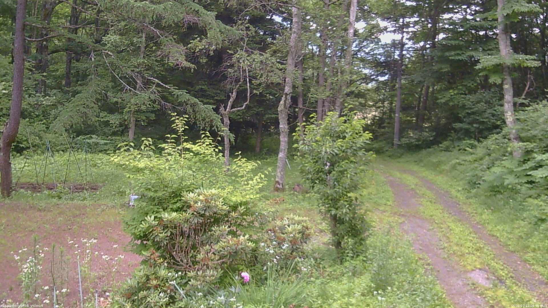 長野県菅平高原 ゆたか山荘 坂上 2026/07/12 08:45