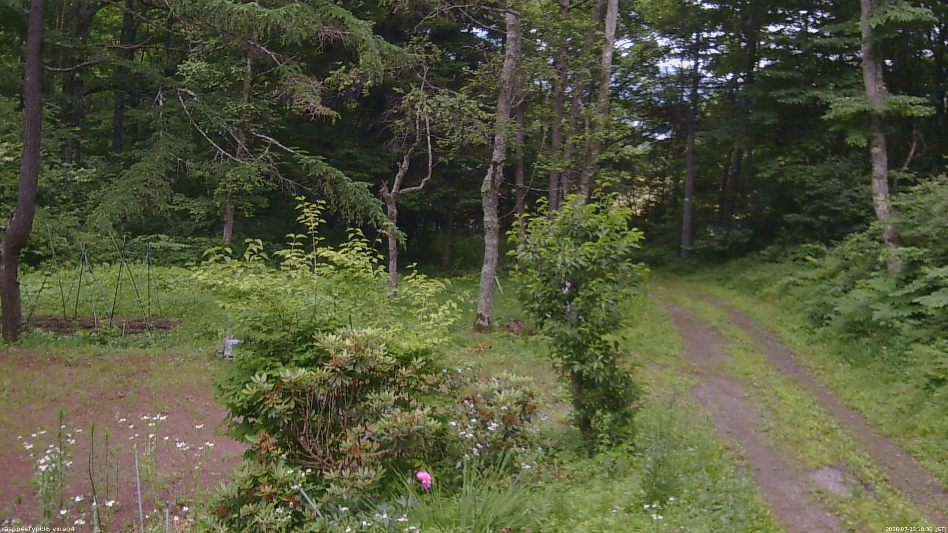 長野県菅平高原 ゆたか山荘 坂上 2026/07/12 10:30