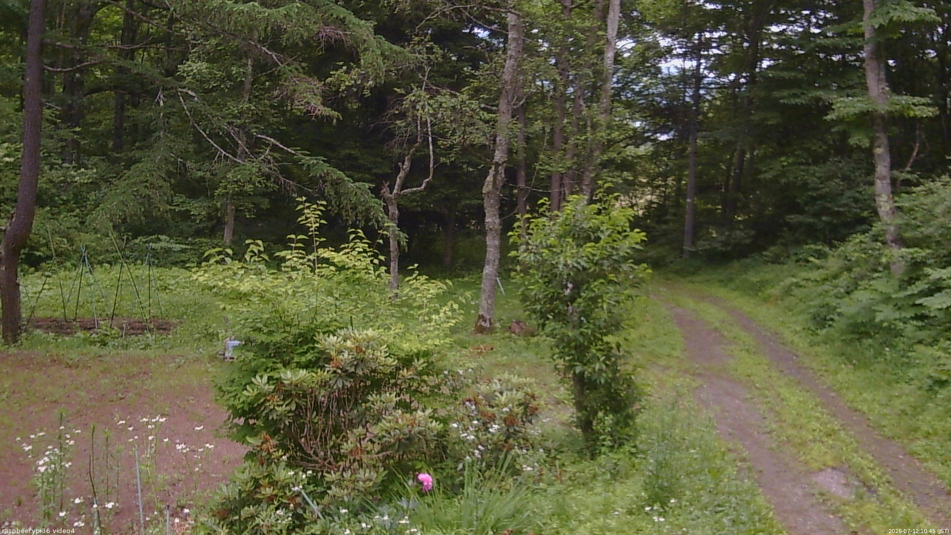 長野県菅平高原 ゆたか山荘 坂上 2026/07/12 10:45