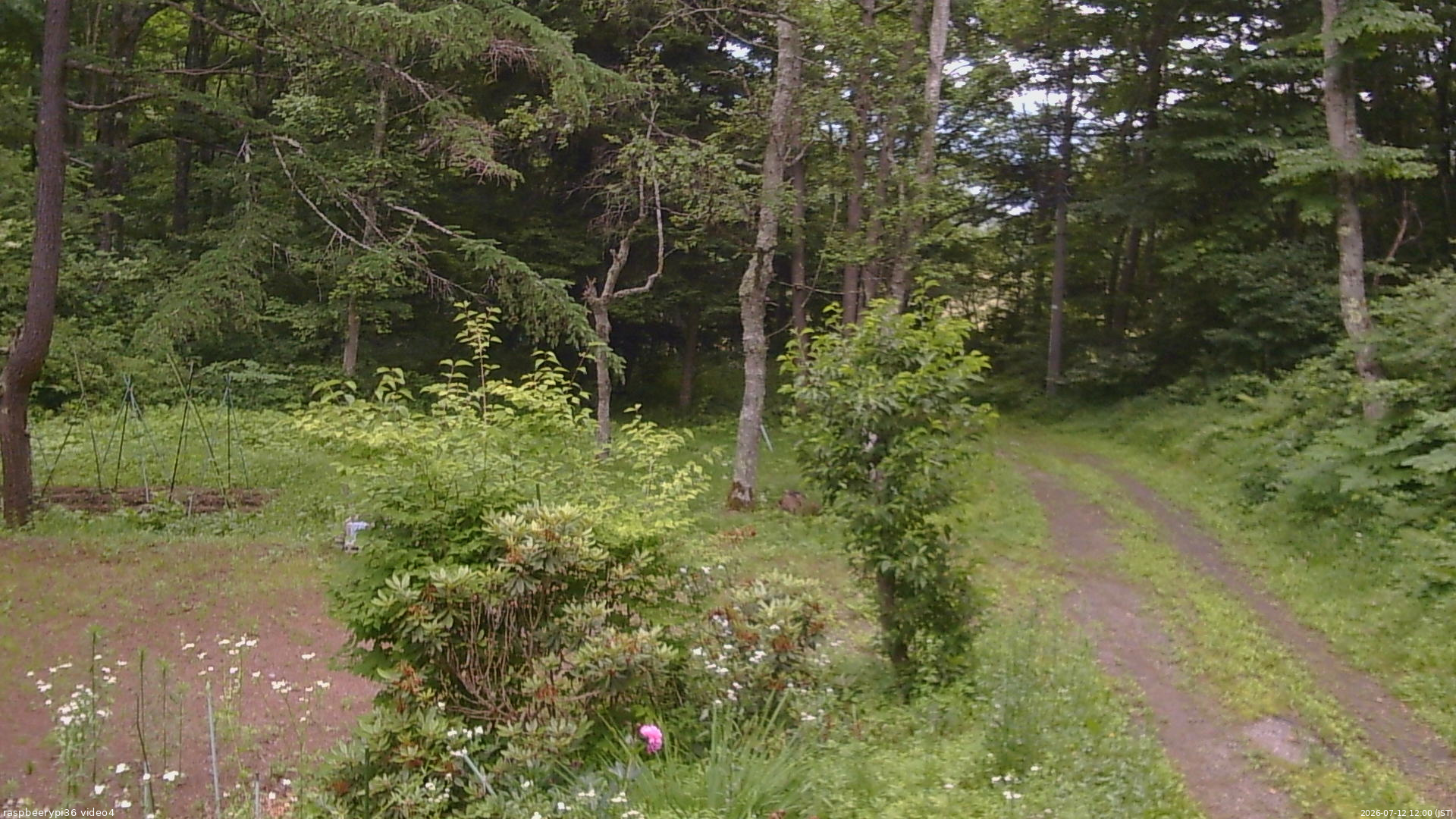 長野県菅平高原 ゆたか山荘 坂上 2026/07/12 12:00