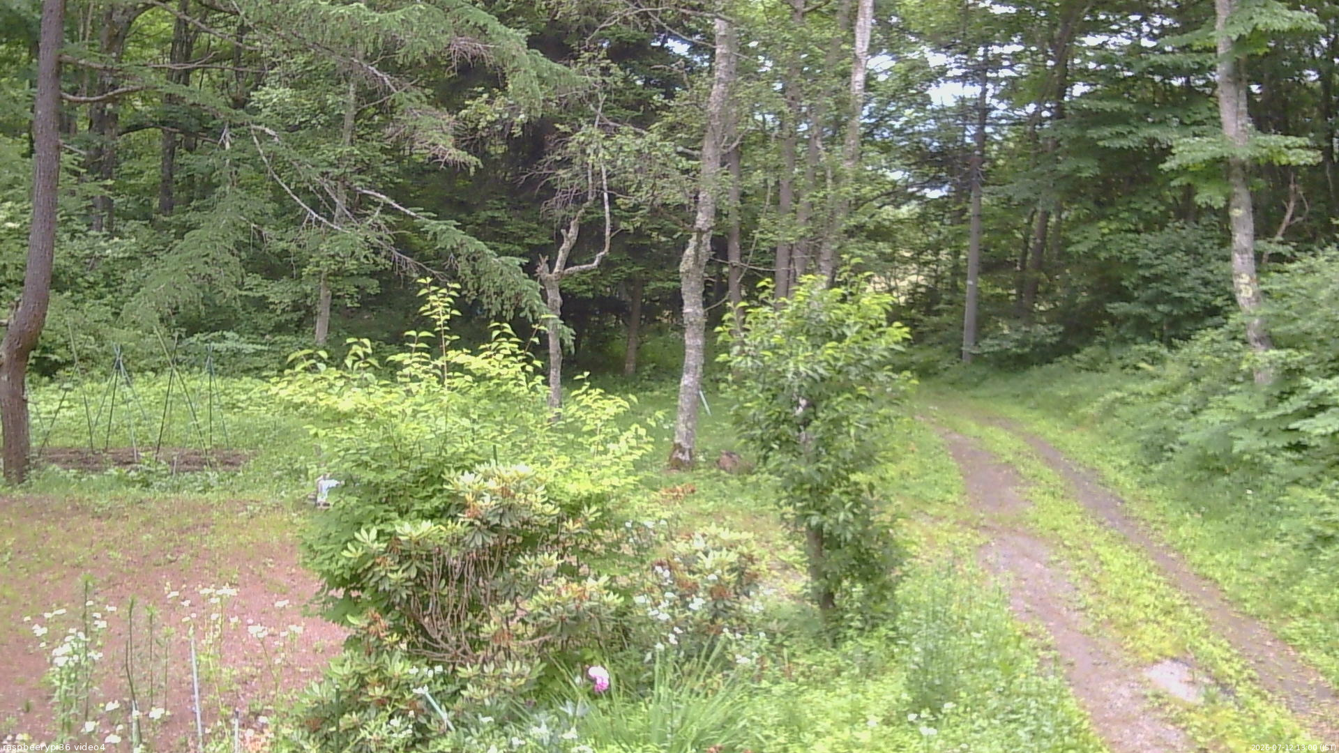 長野県菅平高原 ゆたか山荘 坂上 2026/07/12 13:00