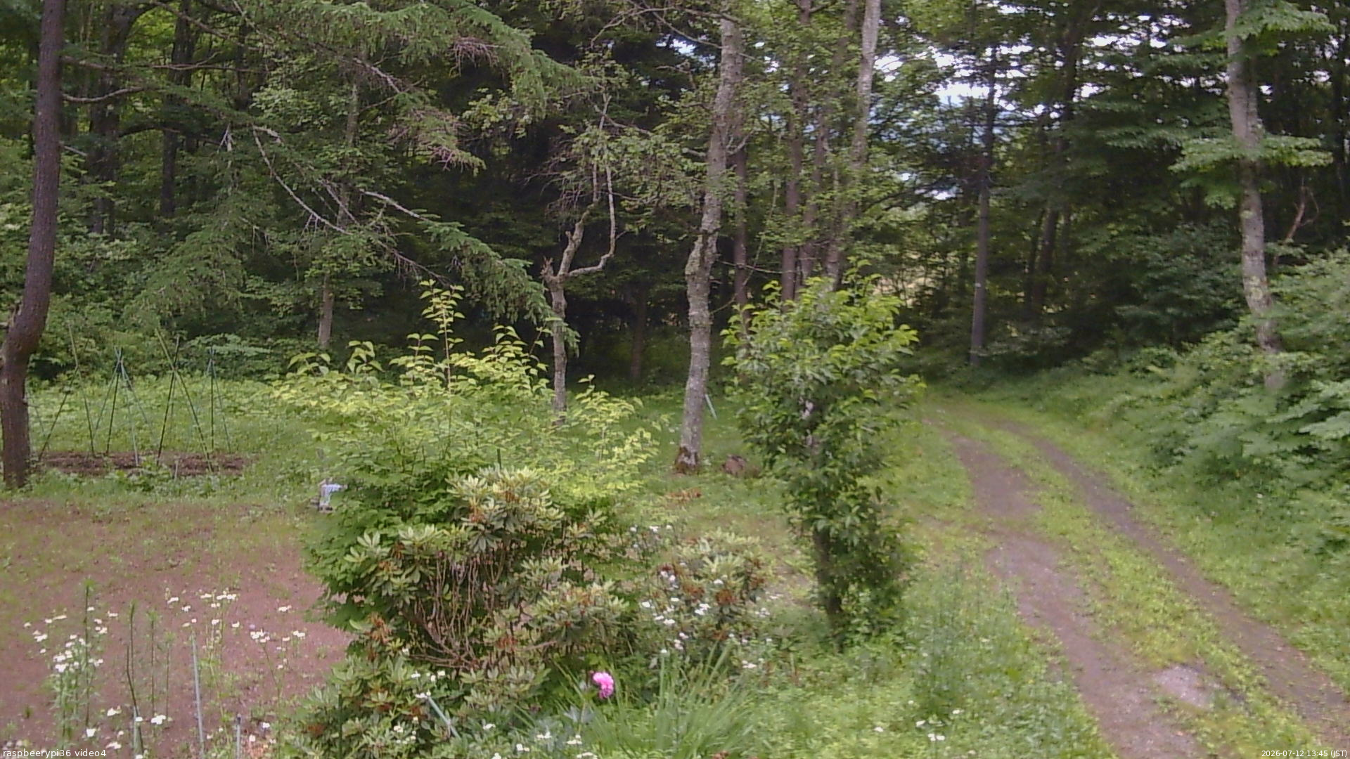 長野県菅平高原 ゆたか山荘 坂上 2026/07/12 13:45