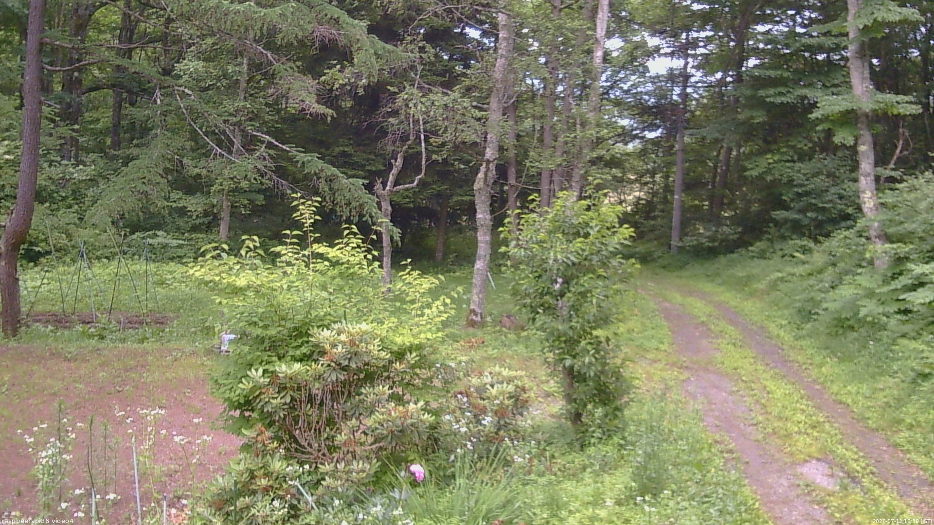 長野県菅平高原 ゆたか山荘 坂上 2026/07/12 16:30