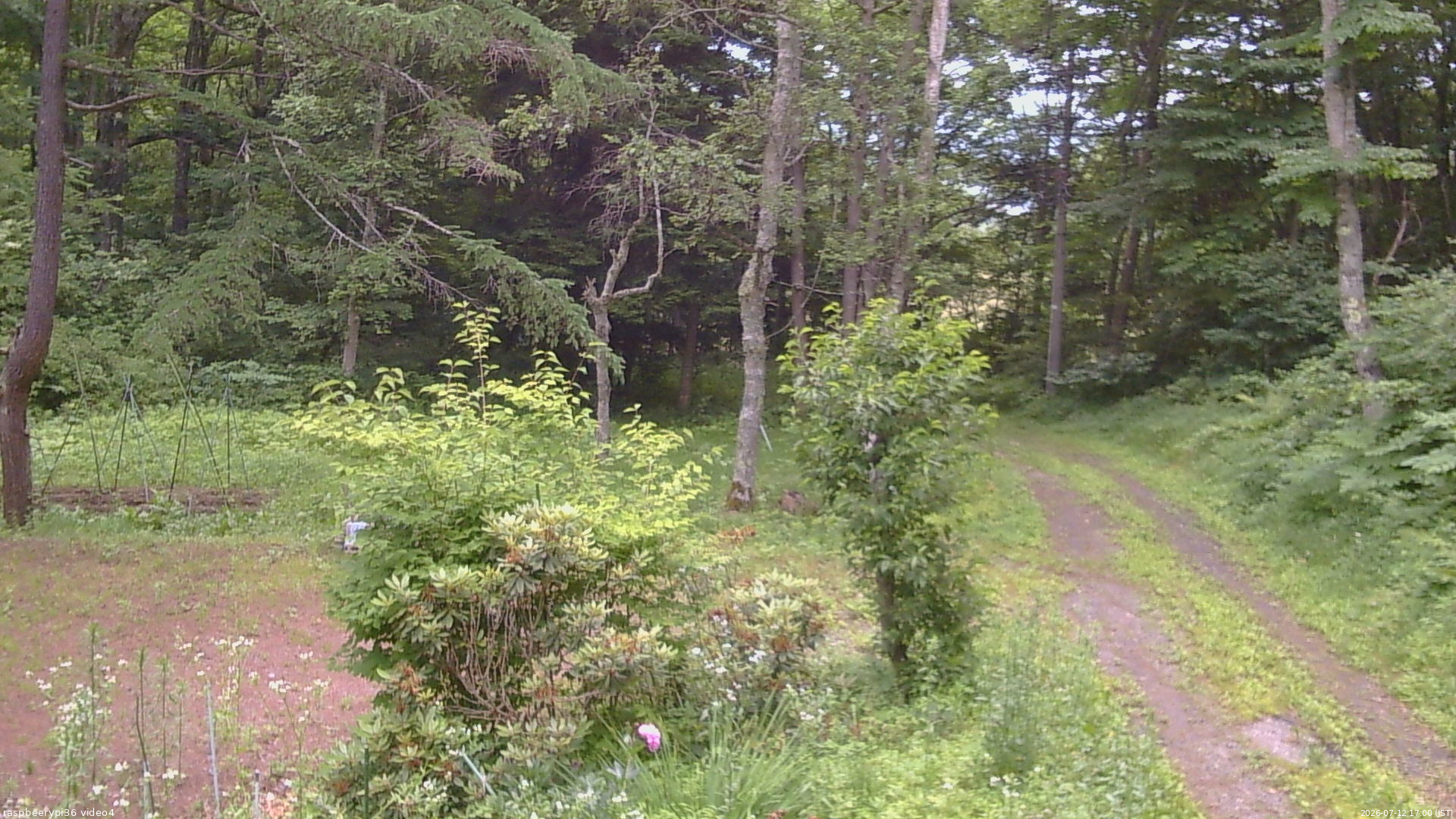 長野県菅平高原 ゆたか山荘 坂上 2026/07/12 17:00