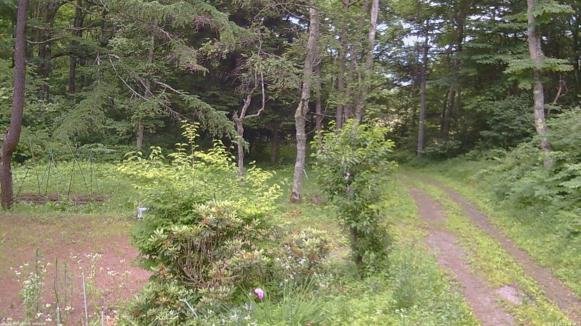 長野県菅平高原 ゆたか山荘 坂上 2026/07/12 17:15