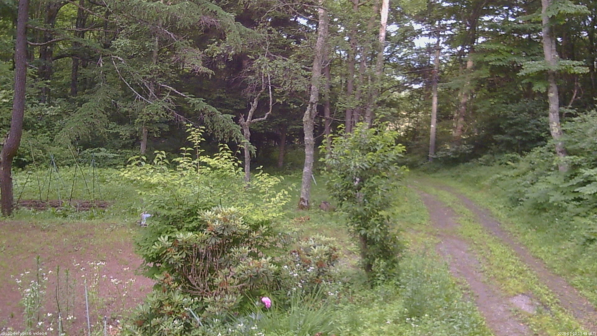 長野県菅平高原 ゆたか山荘 坂上 2026/07/12 17:45
