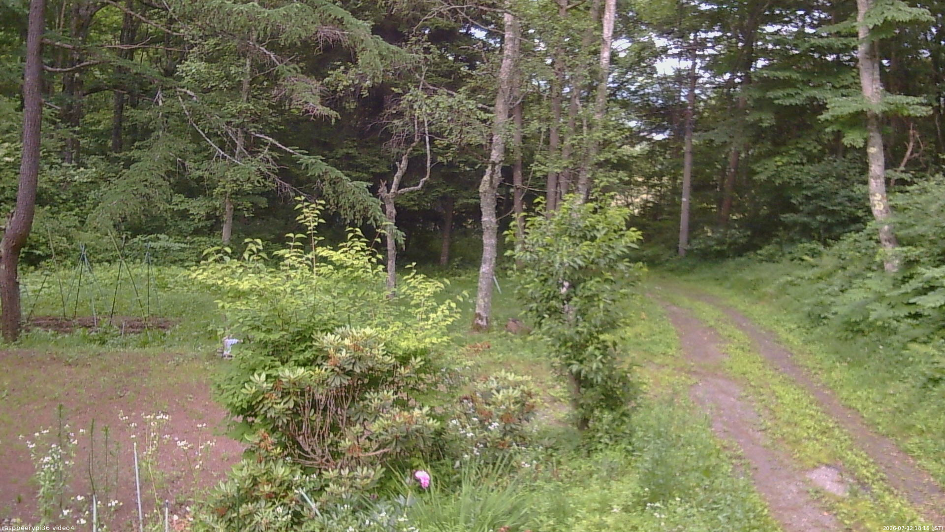 長野県菅平高原 ゆたか山荘 坂上 2026/07/12 18:15
