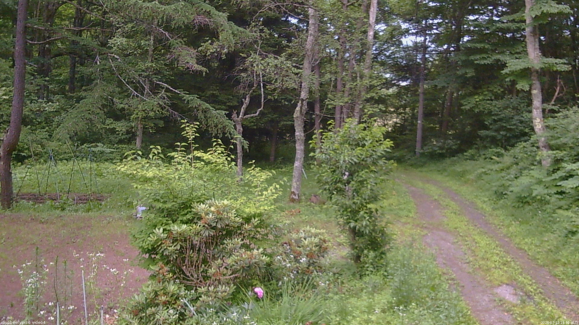 長野県菅平高原 ゆたか山荘 坂上 2026/07/12 18:30