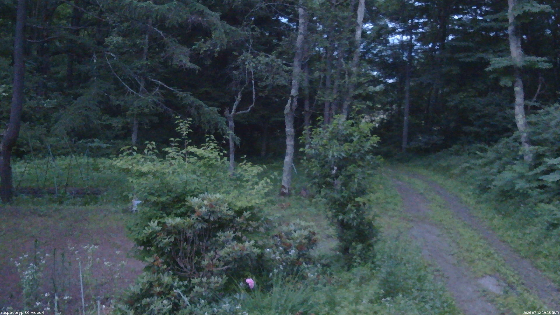 長野県菅平高原 ゆたか山荘 坂上 2026/07/12 19:15