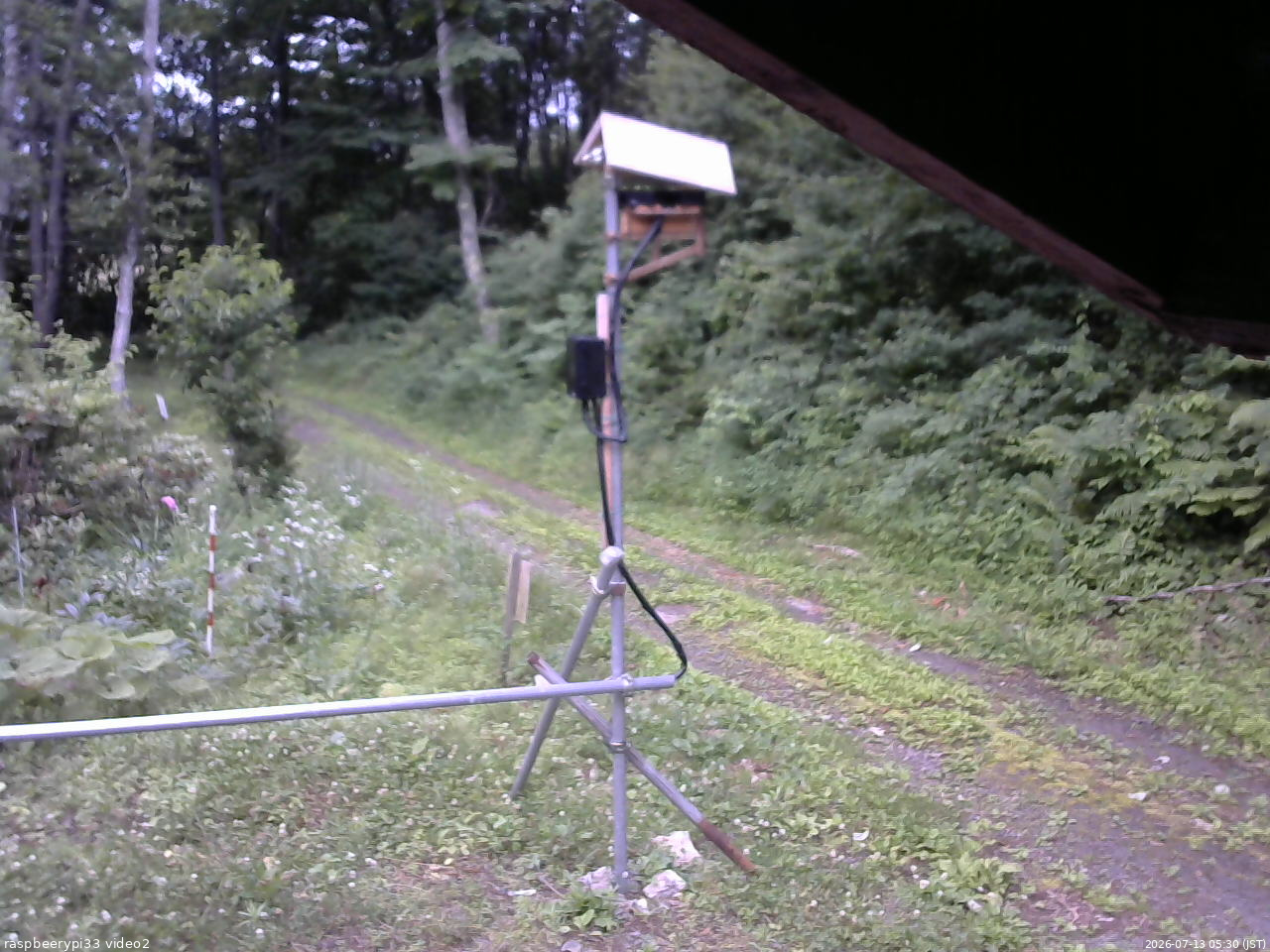 長野県菅平高原 ゆたか山荘 南側 2026/07/13 05:30