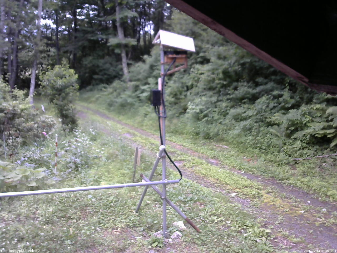 長野県菅平高原 ゆたか山荘 南側 2026/07/13 06:45