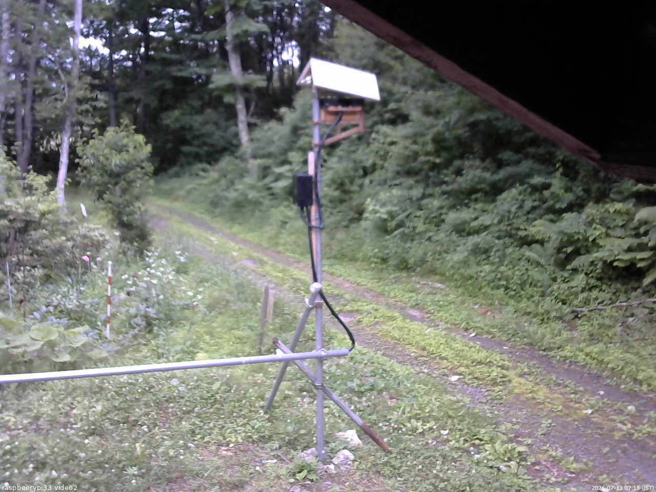 長野県菅平高原 ゆたか山荘 南側 2026/07/13 07:15