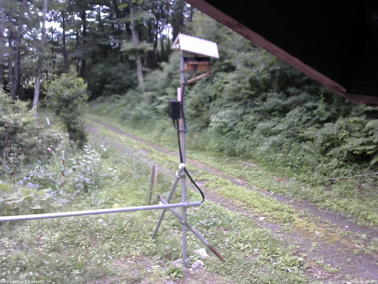 長野県菅平高原 ゆたか山荘 南側 2026/07/13 08:30