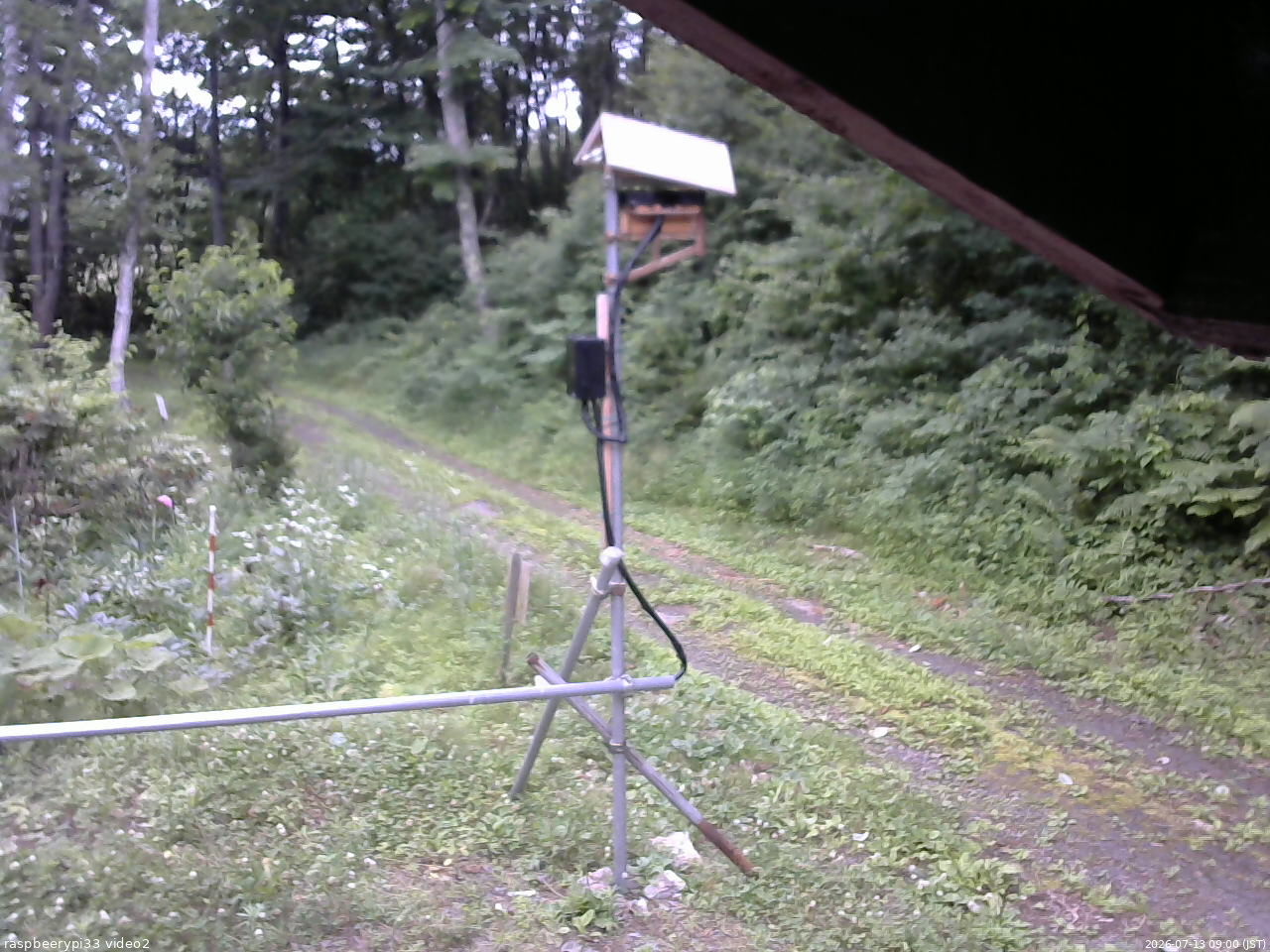 長野県菅平高原 ゆたか山荘 南側 2026/07/13 09:00