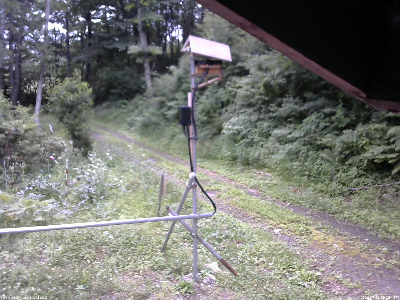 長野県菅平高原 ゆたか山荘 南側 2026/07/13 09:15