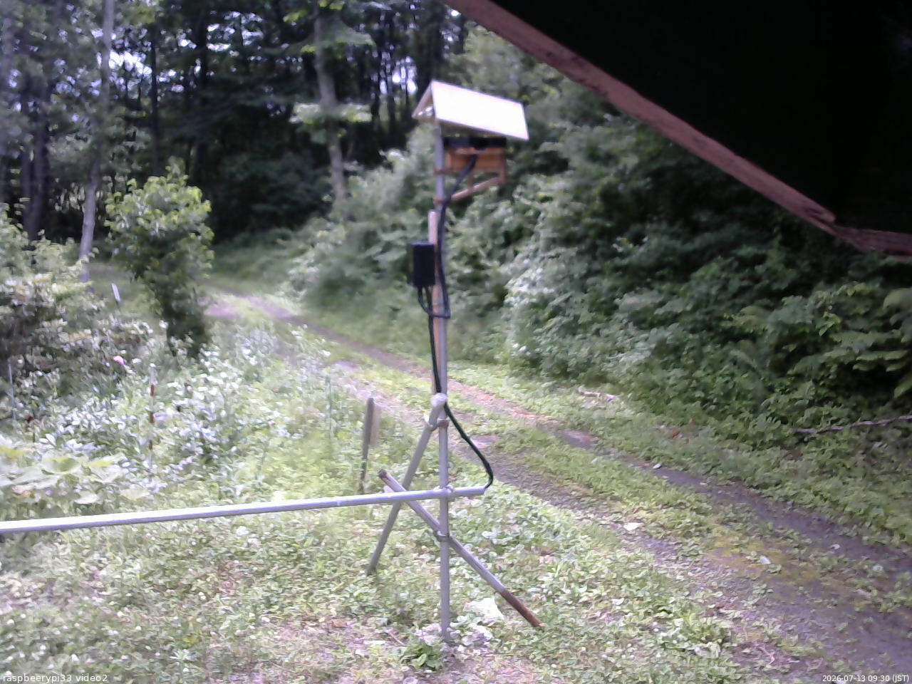 長野県菅平高原 ゆたか山荘 南側 2026/07/13 09:30