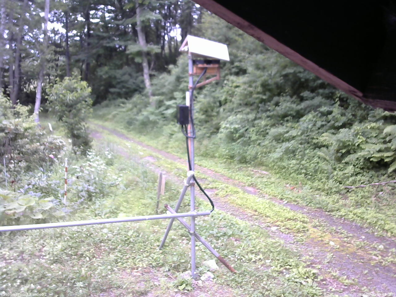 長野県菅平高原 ゆたか山荘 南側 2026/07/13 09:45