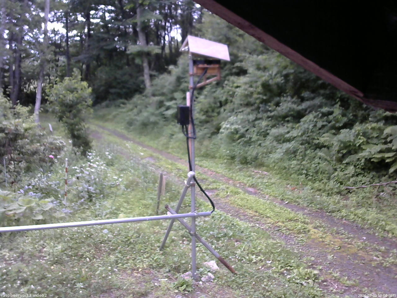 長野県菅平高原 ゆたか山荘 南側 2026/07/13 10:00