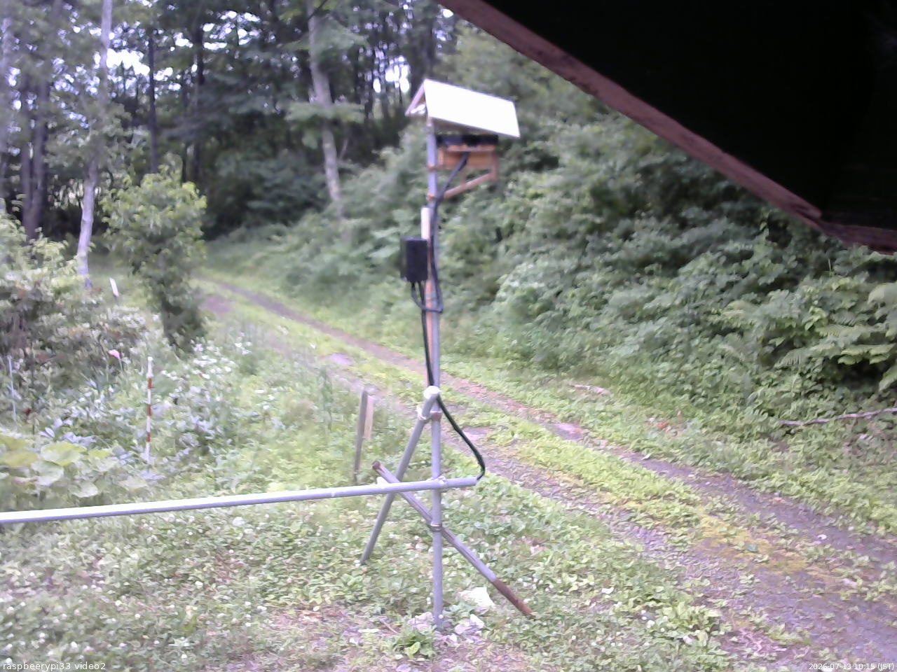 長野県菅平高原 ゆたか山荘 南側 2026/07/13 10:15
