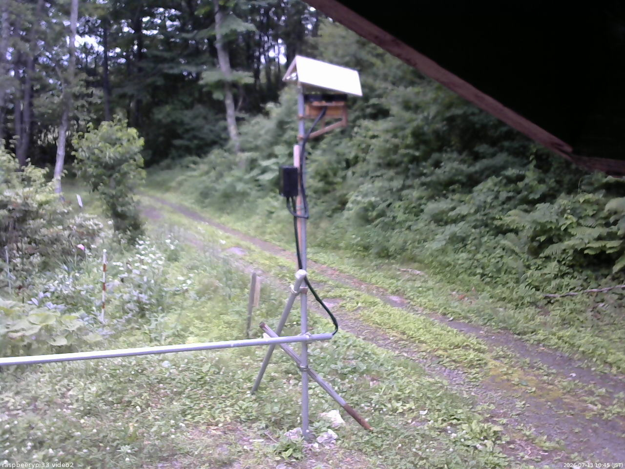 長野県菅平高原 ゆたか山荘 南側 2026/07/13 10:45