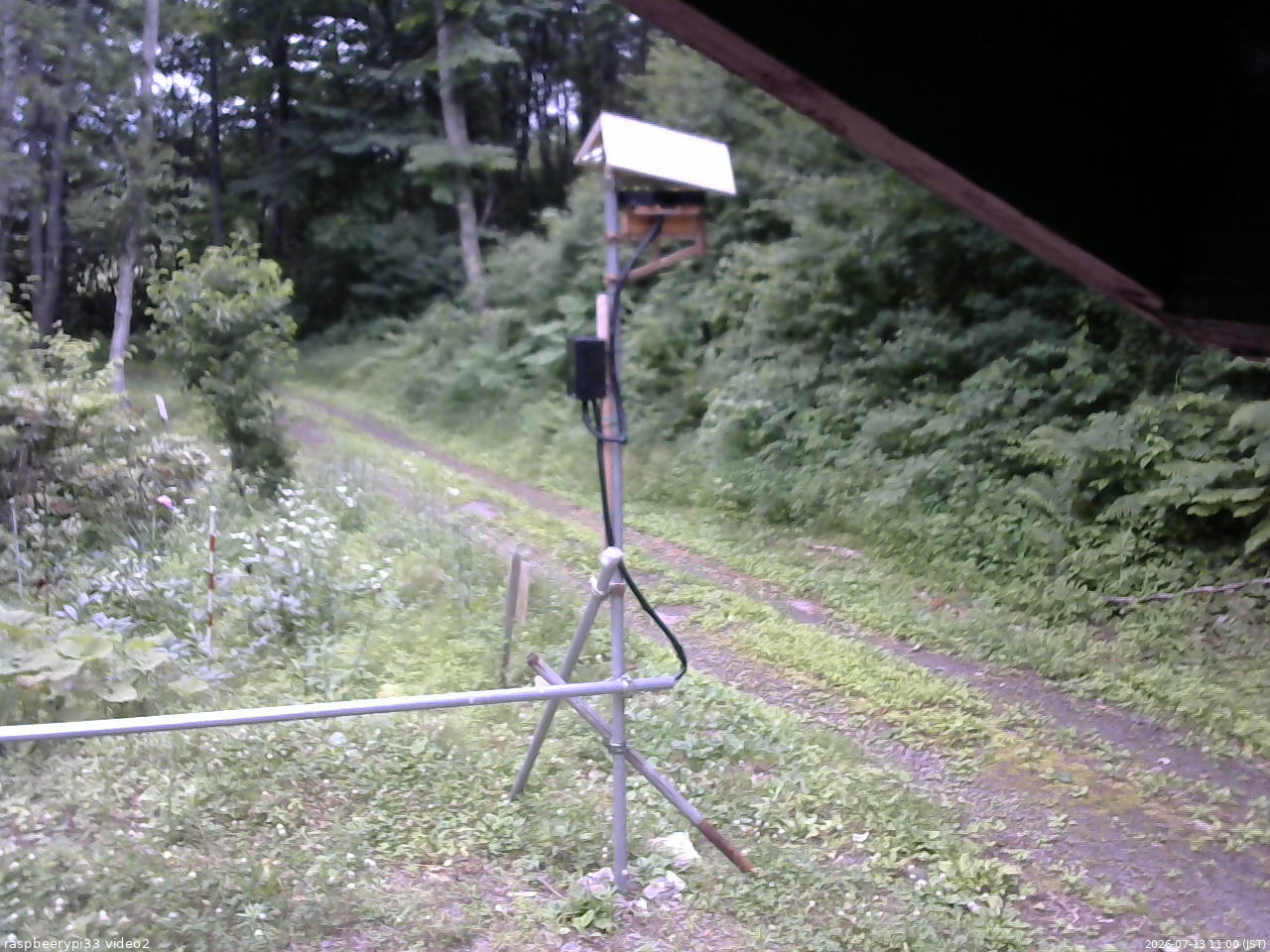 長野県菅平高原 ゆたか山荘 南側 2026/07/13 11:00