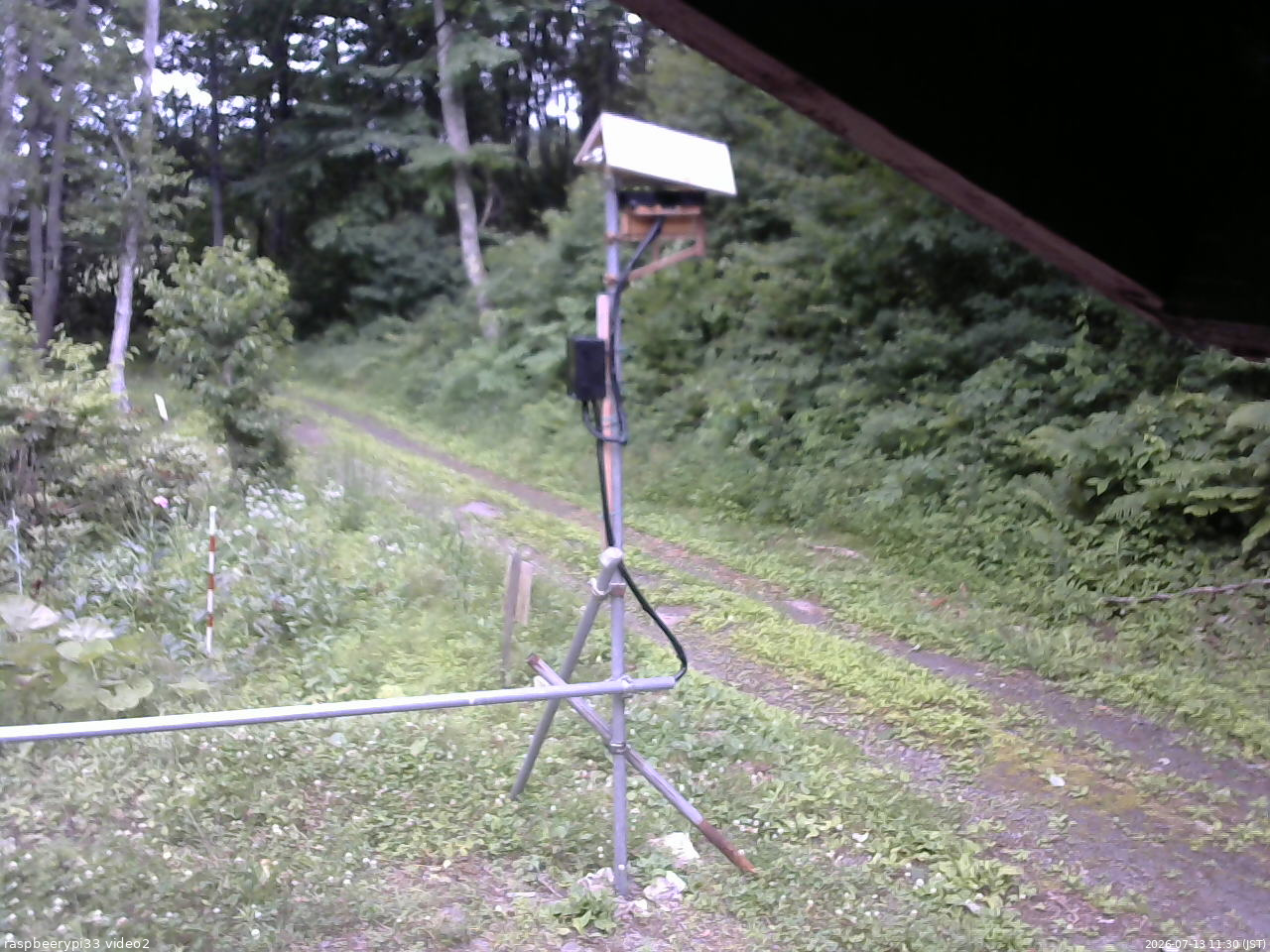 長野県菅平高原 ゆたか山荘 南側 2026/07/13 11:30