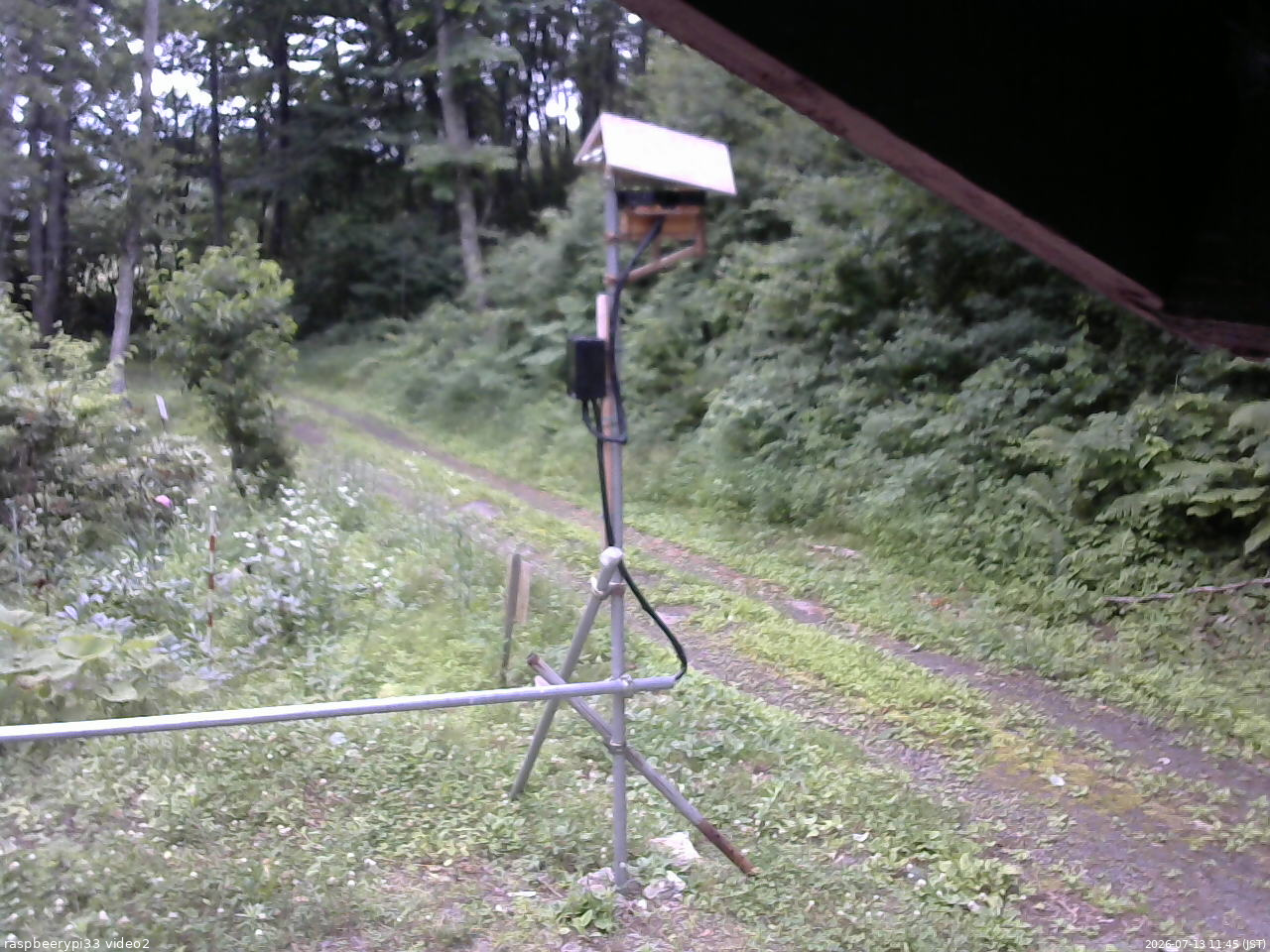 長野県菅平高原 ゆたか山荘 南側 2026/07/13 11:45