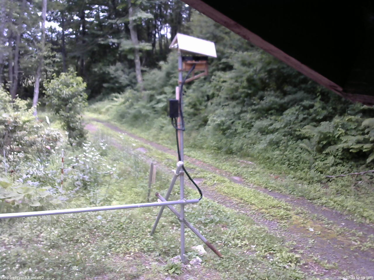 長野県菅平高原 ゆたか山荘 南側 2026/07/13 12:45