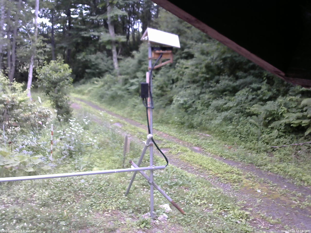長野県菅平高原 ゆたか山荘 南側 2026/07/13 13:15