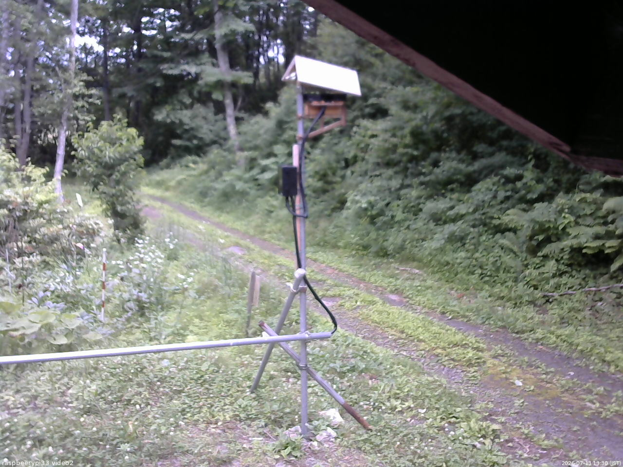 長野県菅平高原 ゆたか山荘 南側 2026/07/13 13:30