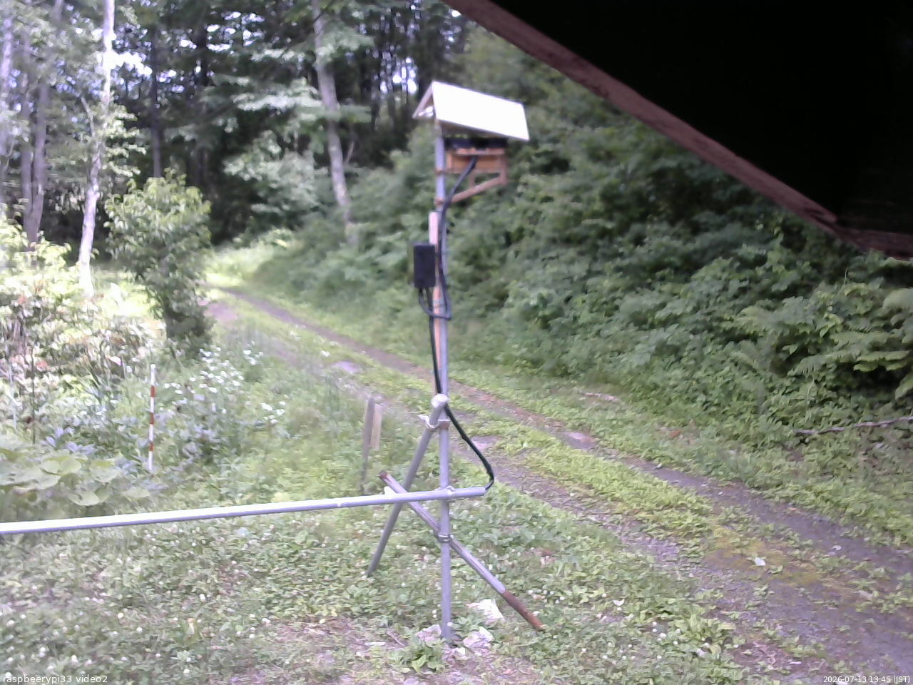 長野県菅平高原 ゆたか山荘 南側 2026/07/13 13:45