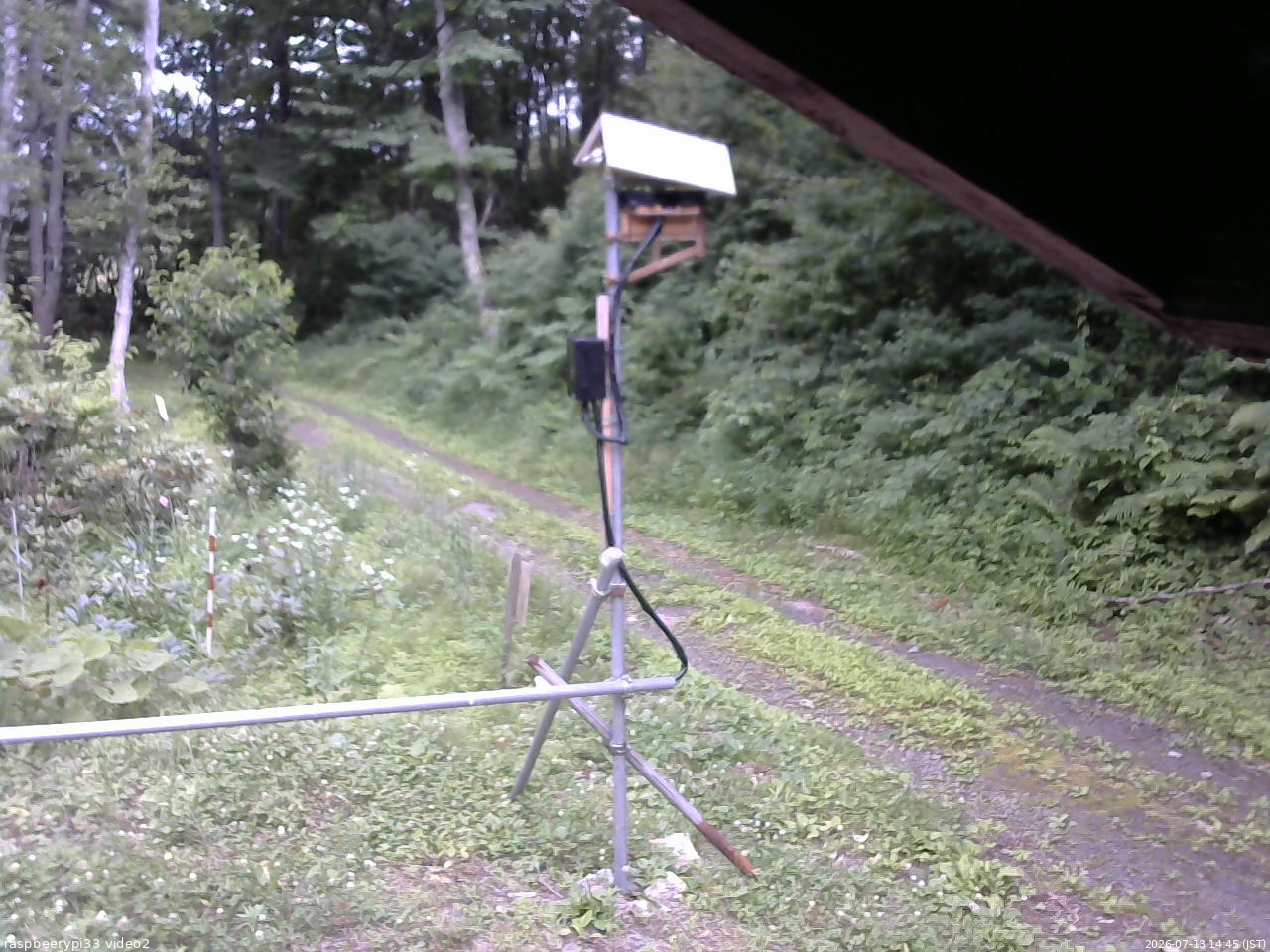 長野県菅平高原 ゆたか山荘 南側 2026/07/13 14:45