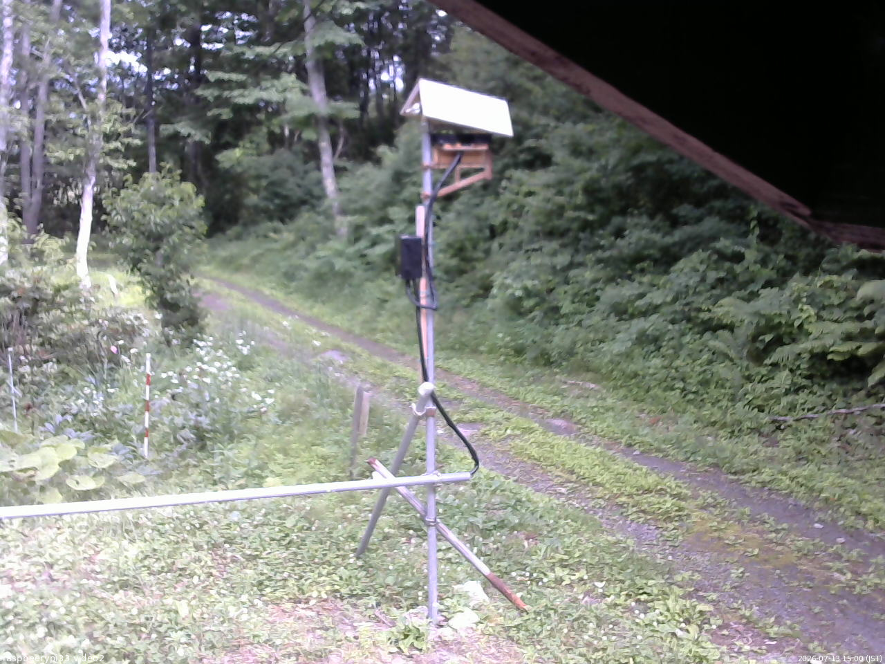 長野県菅平高原 ゆたか山荘 南側 2026/07/13 15:00