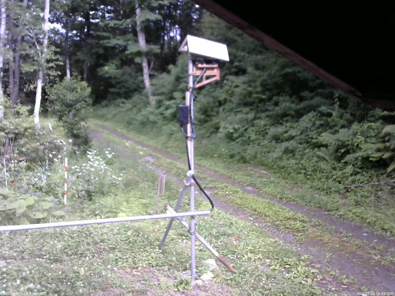 長野県菅平高原 ゆたか山荘 南側 2026/07/13 15:45