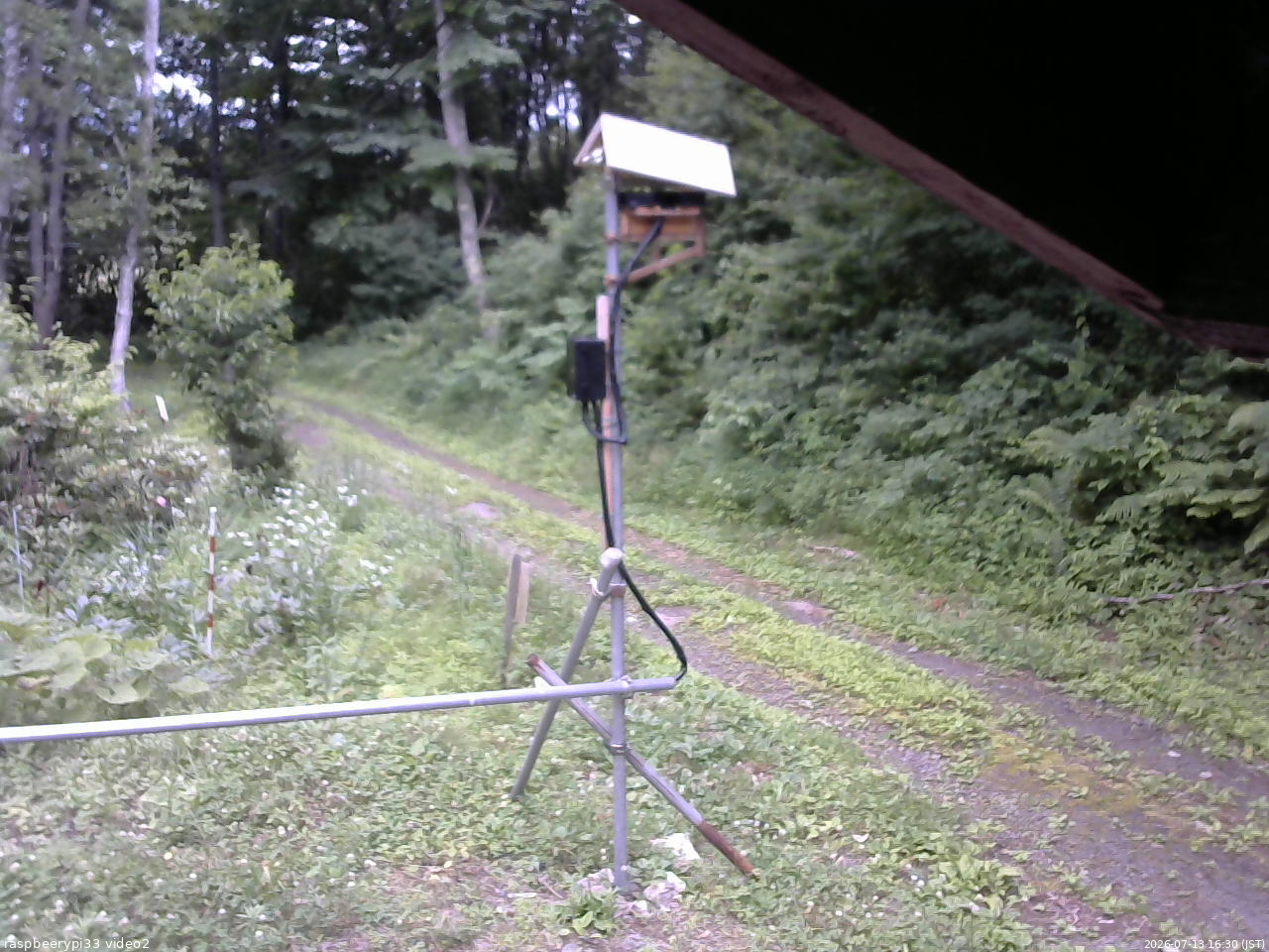 長野県菅平高原 ゆたか山荘 南側 2026/07/13 16:30